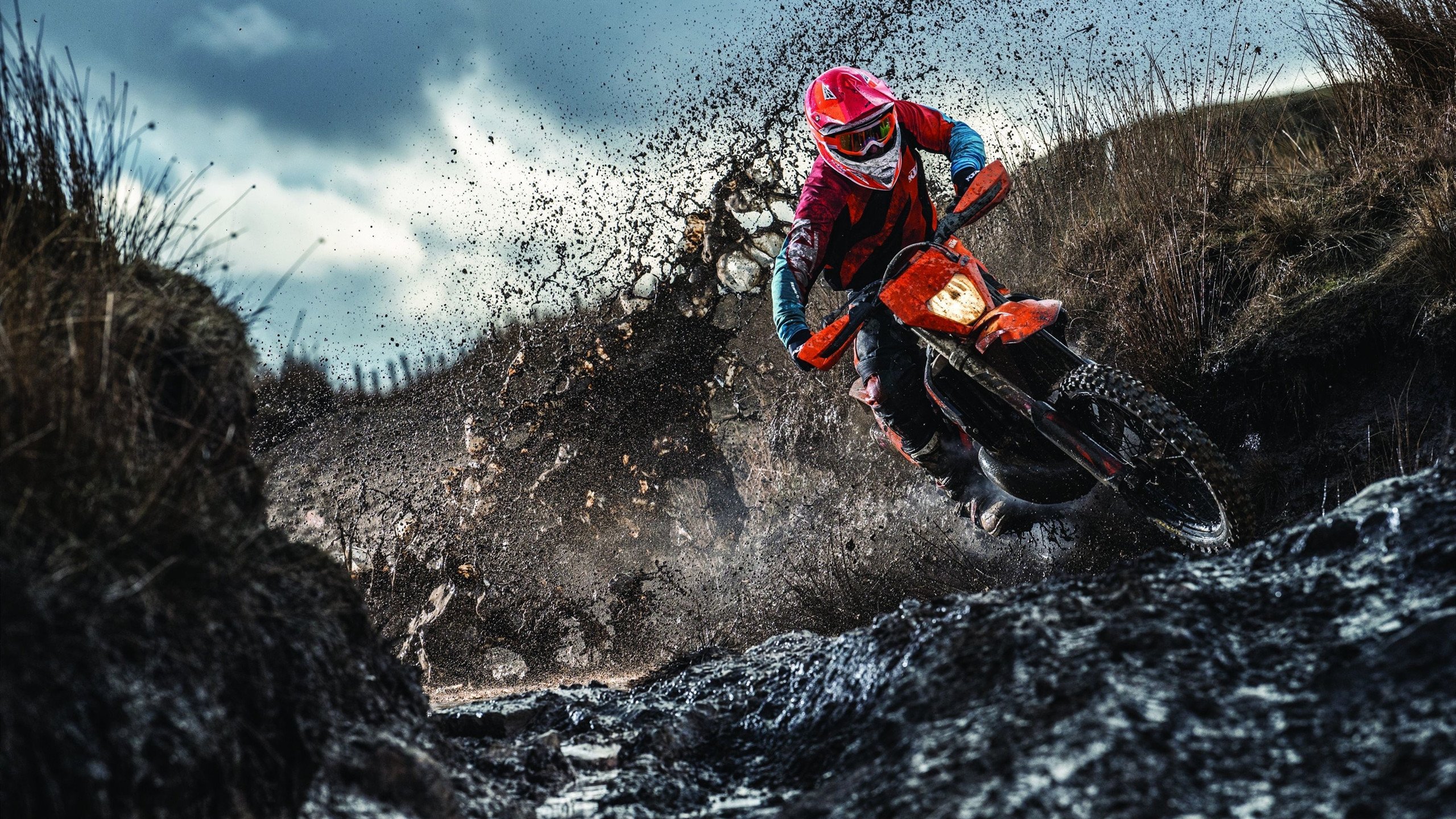 开云首页登录-光明记忆“未来战士”年度冠军争夺战正式开启，未来战士百科